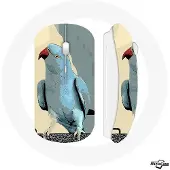 MANIACASE Souris Sans Fil - - Perruches Bleu - Clé USB Wi-Fi incluse - Compatible Mac et PC