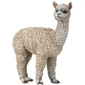 Collecta Alpaka