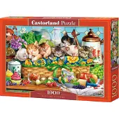 Castorland Puzzle Chatons qui Font la Sieste - 1000 pièces