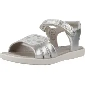 Garvalin 242424g Couleur Argent