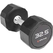 Olive Pro-style 32.5kg Dumbbell Noir 32.5 kg