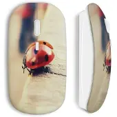 MANIACASE Souris Sans Fil Coccinelle