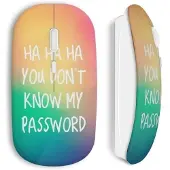 MANIACASE Souris sans Fil You don't know my password