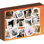 Grafika Puzzle Collage - Chats - 26 à 50 pièces