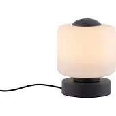 Paul Neuhaus Lampe de table LED 4037-13 anthracite, 5 W, 580 lm, 3000 K