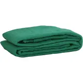 vidaXL Filet pour remorque vert 3x5 m PEHD