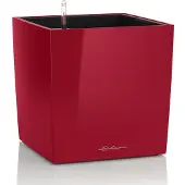 Lechuza Cube Premium 30 - Kit Complet, Rouge Scarlet Brillant 30 Cm