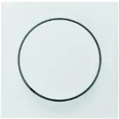 Berker Plaque centrale blanc brillant bouton multifonction - Plaque de recouvrement pour couleur blanche 11378982
