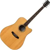 Pasadena PDC-300 Natural Satin Guitare acoustique