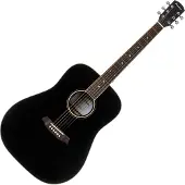 Pasadena PD-300 Black Guitare acoustique