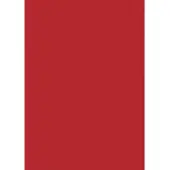 MAUL Feuille magnétique A4 rouge (1x)