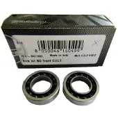 Campagnolo Roulements Usb