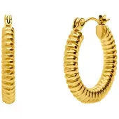 Lucardi Boucles d'oreilles 'Münze' or