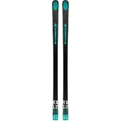 Kästle Skis Alpins Rx12 Gs Factory Fis S+plate 10mm
