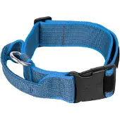 JULIUS K-9 Collier De Chien Collar 50 Mm