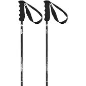 Elan Bâtons Carbon Rod