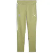 Puma Pantalon De Survêtement Girona Fc Teamevostripe