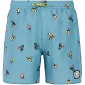 Protest Rocker Swimming Shorts Bleu 176 cm Garçons
