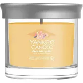 Yankee candle Slopeside Spritz bougie parfumée Signature 122 g