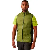Regatta Anderson Hybrid Vest Vert M Homme