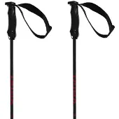 Völkl Bâtons Rentastick Carbon