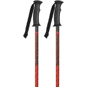 K2 France Speed Rental Poles Argenté 130 cm