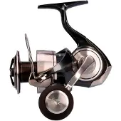 Daiwa Certate G 24 Sw Spinning Reel Argenté 6000P