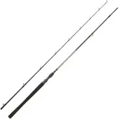 Daiwa Canne Baitcasting Exceler