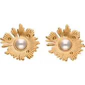 Gaya Boucles d'oreilles or / argent