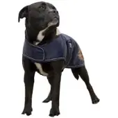Diego & Louna Teddy Nylon Dog Jacket Noir 26 cm