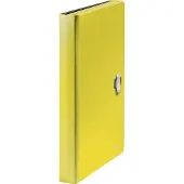 Leitz Recycle Pp A4 5 Separators Accordion Folder Doré Enfants