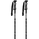 Gabel Speed Poles Argenté 115 cm