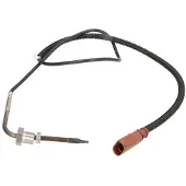 Delphi Palpeur, température des gaz TS30160