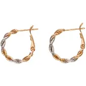 Gaya Boucles d'oreilles or rose / argent