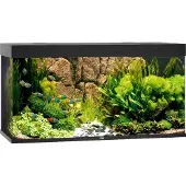 Gebr. De Boon Rio Led 350 Aquarium Argenté