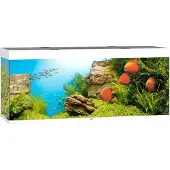 Gebr. De Boon Rio Led 450 Aquarium Clair