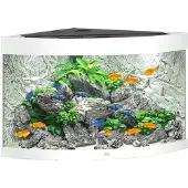 Gebr. De Boon Trigon Led 190 Aquarium Argenté