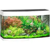 Juwel Vision Led 180 Aquarium Clair