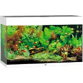 Juwel Aquarium Rio 125 avec éclairage LED, pompe, filtre, chauffage sans meuble blanc