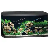Juwel Aquarium Primo - Noir - 110 L