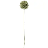 Bloomingville Allium
