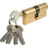 Benson Cylindre de Serrure de Porte 60mm en Laiton + 5 Clés + Vis Barillet Sécurité