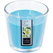 Atmosphera Bougie Parfumée Fleur de Tiaré Pot en verre 500 G