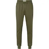 U.S. POLO ASSN. Pantalon 'UMTerkel' vert foncé