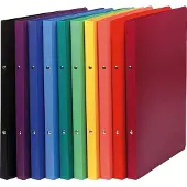 Exacompta 51199E Classeur à anneaux A4 Multicolore (A4, 20 mm, 20 pcs)