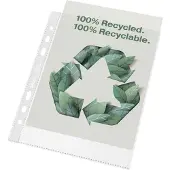 Esselte Pochette à prospectus (A5, 100x)