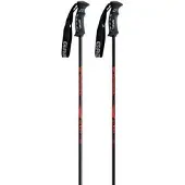 Gabel Bâtons Rental Composite Sr