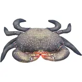 Gaby The Mud Crab Medium Pillow Argenté