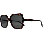 Polaroid Lunettes de Soleil - - PLD 4165/S/X - Havana - Acétate - Femme