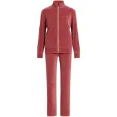 Goldenbay Pyjama 'Dandelion' rose ancienne
